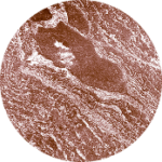 Peptid mit entspannender Wirkung