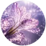 Allantoin